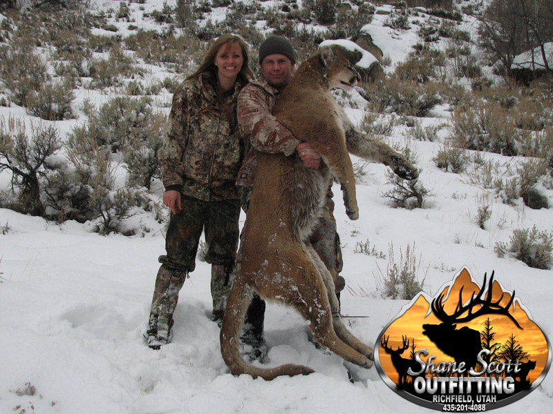 Cougar Hunting