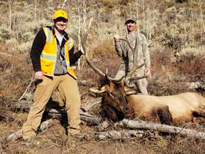 Utah Elk