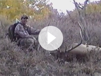 Utah Elk Hunt-Shane Scott Outfitting