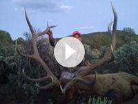 Utah Elk Hunting - Shane Scott Outfitting
