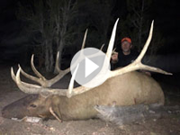 Utah Elk Hunting-Shane Scott Outfitting