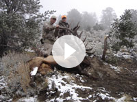 Elk Hunting In Utah-Shane Scott Outfitting
