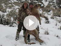 Mountain Lion Hunt Utah-Shane Scott Outfitting