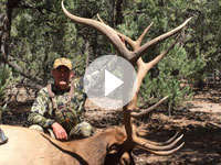 2015 Archery Bull Elk -Shane Scott Outfitting